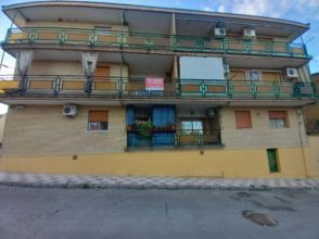 Imagen Arjonilla